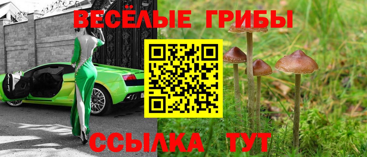Галлюциногенные грибы GOLDEN TEACHER Кисловодск