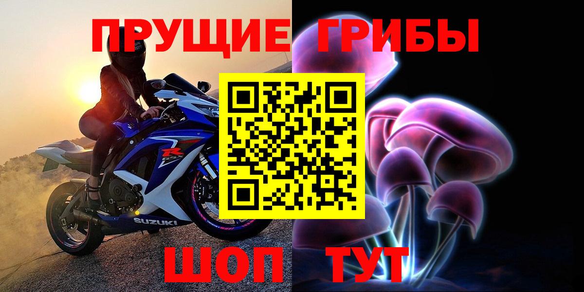 Псилоцибиновые грибы Psilocybe  Псилоцибиновые грибы мицелий  Вход с VPN  Кисловодск 
